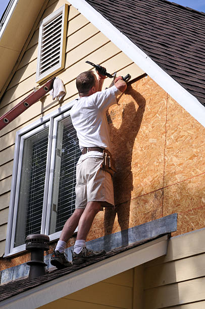 Best Insulated Siding Installation  in Nelsonville, OH